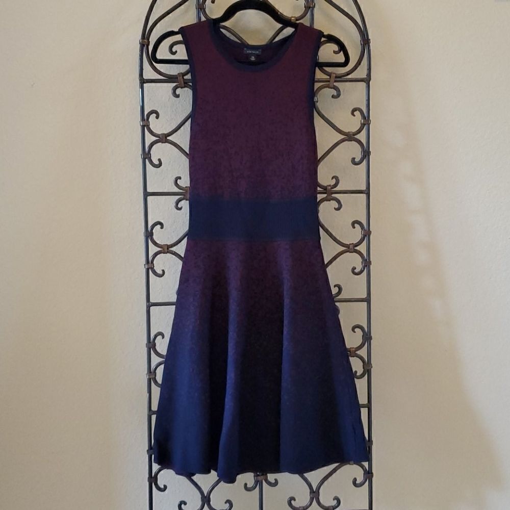 ANN TAYLOR Fit & Flare Ombre Dress - Size X-Small